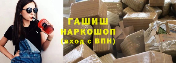гидра Богородск