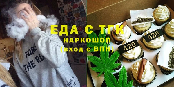 гидра Богородск