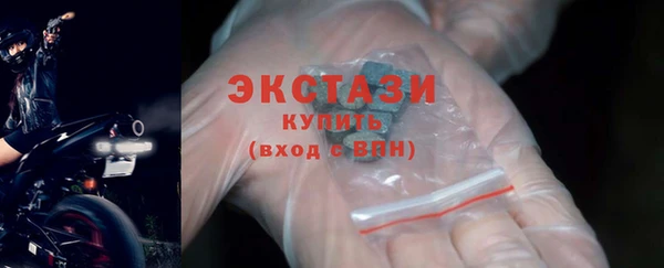 гидра Богородск