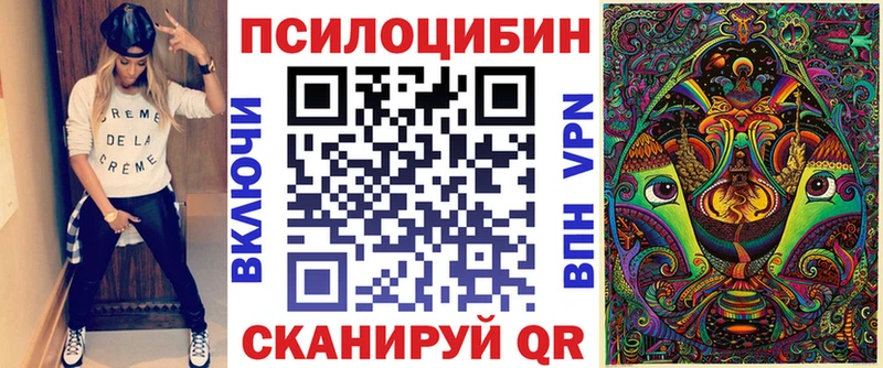Псилоцибиновые грибы Cubensis  Шлиссельбург 